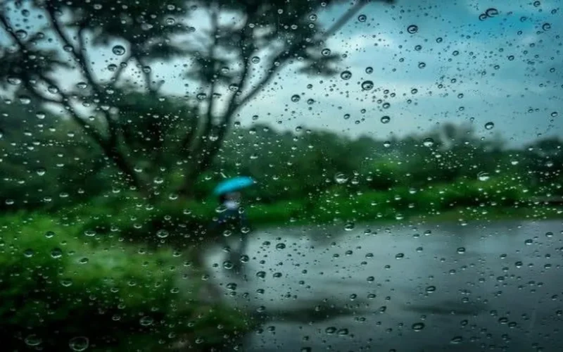 شبورة وأمطار متفرقة.. توقعات الطقس غدًا مع رياح باردة شمالية